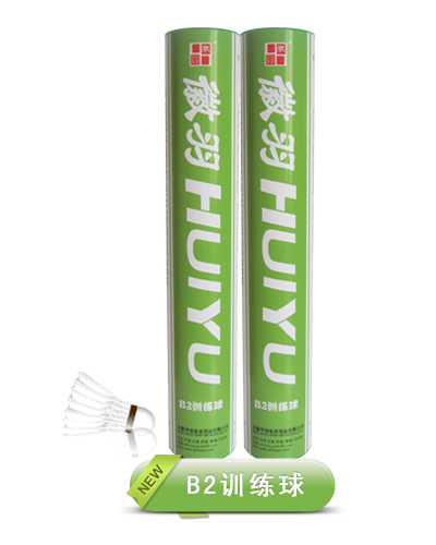 B2訓(xùn)練球